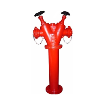 Trụ chữa cháy 2 cửa DN65